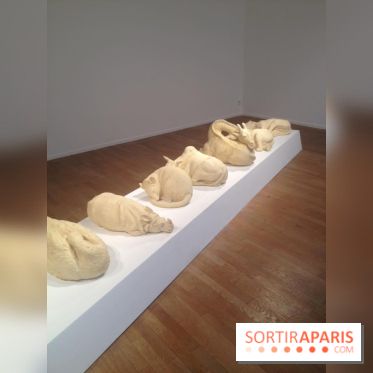 Jitish Kallat à la galerie Templon