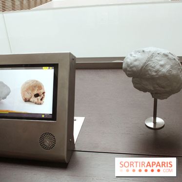 Le nouveau Musée de l'Homme