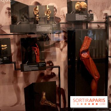 Le nouveau Musée de l'Homme