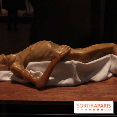 Le nouveau Musée de l'Homme 