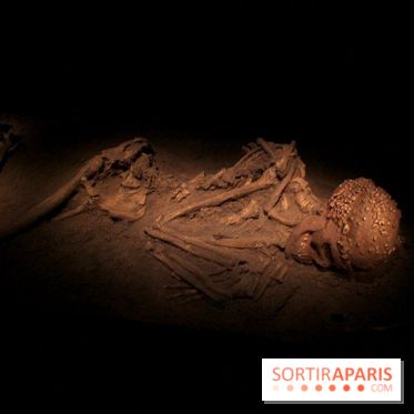 Le nouveau Musée de l'Homme 