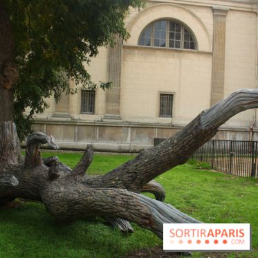 FIAC 2015, le hors-les-murs au Jardin des Plantes