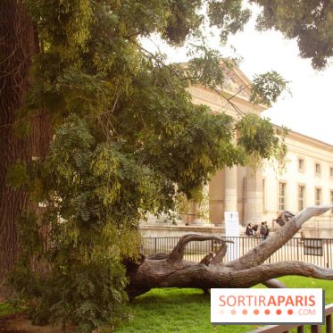 FIAC 2015, le hors-les-murs au Jardin des Plantes