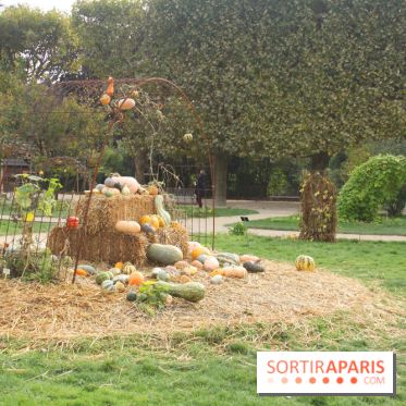 FIAC 2015, le hors-les-murs au Jardin des Plantes