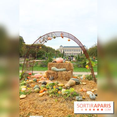 FIAC 2015, le hors-les-murs au Jardin des Plantes