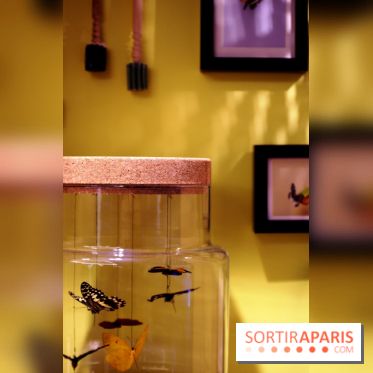 ME (Mon Éclair) à Paris