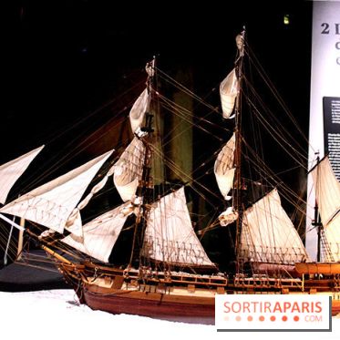 Darwin, l'exposition à la Cité des Sciences