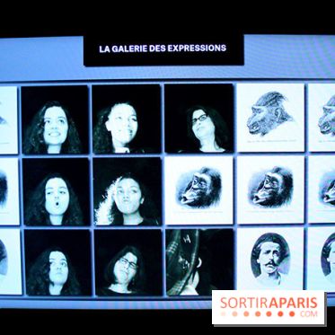 Darwin, l'exposition à la Cité des Sciences