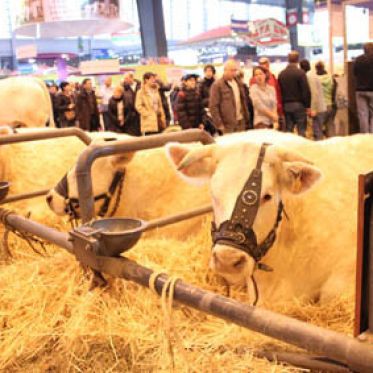 Salon de l'Agriculture 2012
