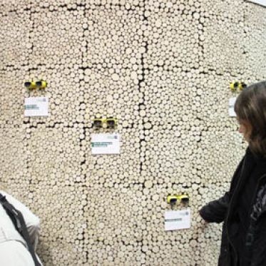 Odyssée Végétale 3D, Salon de l'Agriculture 2012