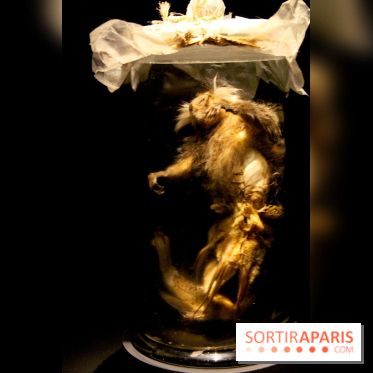 Persona, l'exposition terrifiante au Musée du Quai Branly