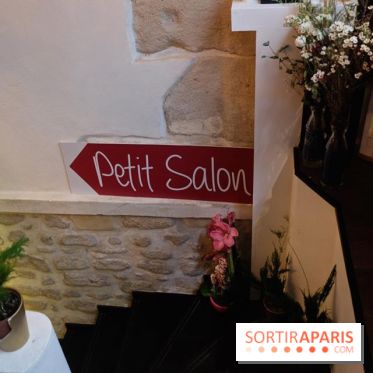 LSD : Les Souris Dansent