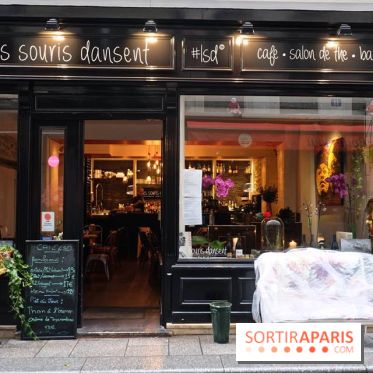 LSD : Les Souris Dansent