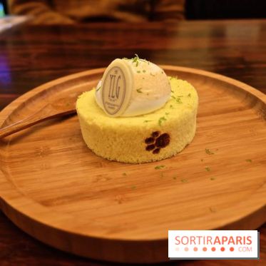 LSD : Les Souris Dansent