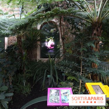 Mille & une orchidées au Jardin des Plantes, les photos