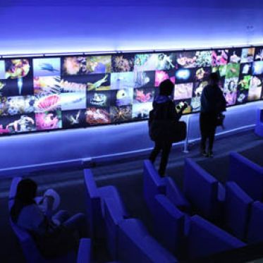 Plankton Invasion à l'Aquarium de Paris