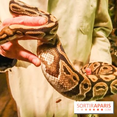 Comptoir General "Le Bon Voyage"