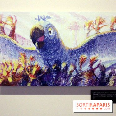 Le studio Blue Sky, les photos de Musée Art Ludique