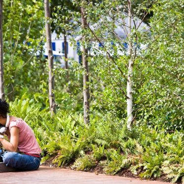 Les bords de Seine pour Paris plage