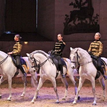 Ecuyères, le spectacle équestre du Musée vivant du cheval à Chantilly