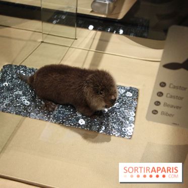 Exposition BéBés animaux à la Cité des Sciences, les photos