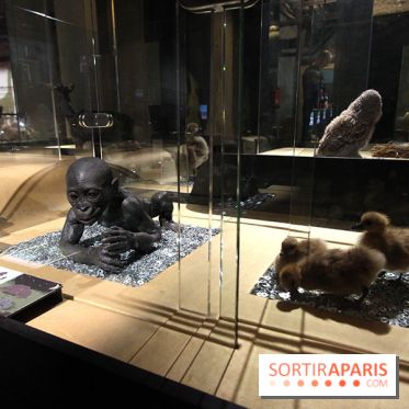 Exposition BéBés animaux à la Cité des Sciences, les photos