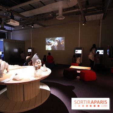 Exposition BéBés animaux à la Cité des Sciences, les photos