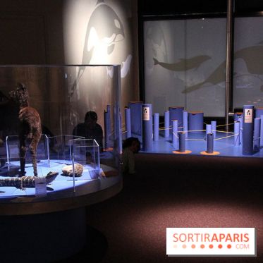 Exposition BéBés animaux à la Cité des Sciences, les photos