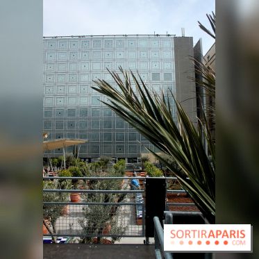 Jardin d'Orient à l'Institut du Monde Arabe