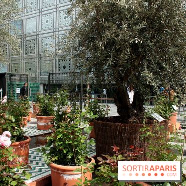 Jardin d'Orient à l'Institut du Monde Arabe