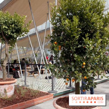 Jardin d'Orient à l'Institut du Monde Arabe