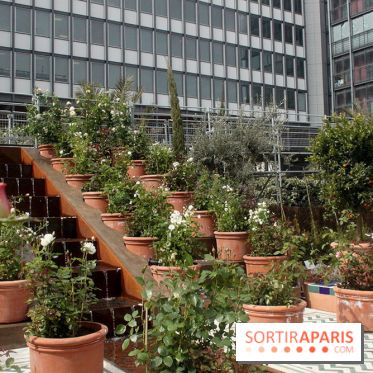 Jardin d'Orient à l'Institut du Monde Arabe