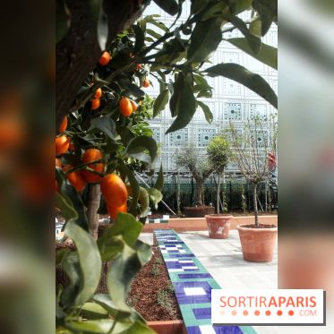 Jardin d'Orient à l'Institut du Monde Arabe