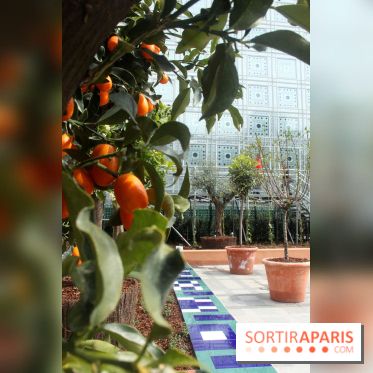 Jardin d'Orient à l'Institut du Monde Arabe