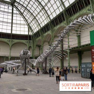 Monumenta 2016 au Grand Palais