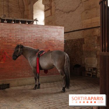 La Galerie des Carrosses à Versailles