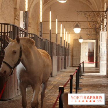 La Galerie des Carrosses à Versailles