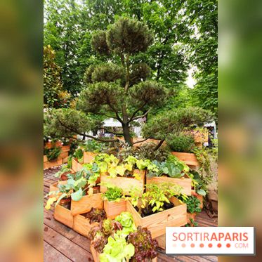 Salon Jardins Jardin aux Tuileries 2016