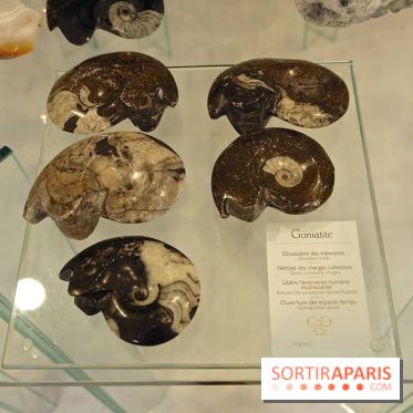 Cristaux et Couleurs