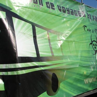 techno, parade, techno parade 2008