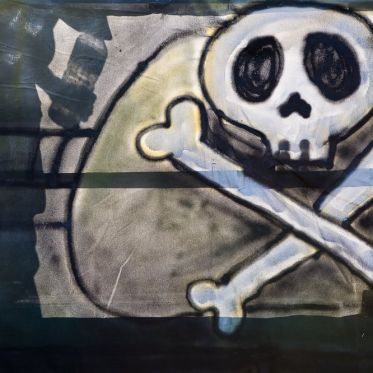 techno, parade, techno parade 2008