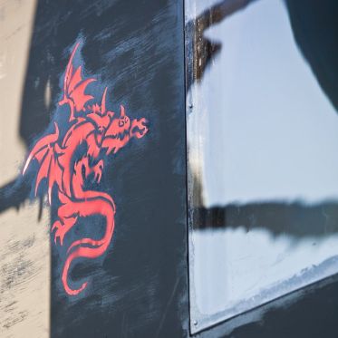 techno, parade, techno parade 2008