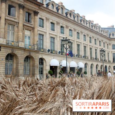 Gad Weil installe son Champ de Blés Place Vendôme