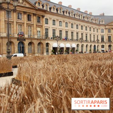 Gad Weil installe son Champ de Blés Place Vendôme