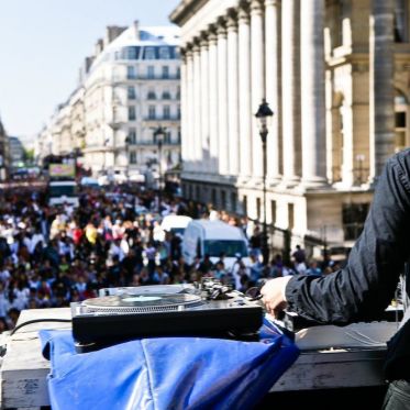 techno, parade, techno parade 2008