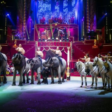 Surprise au Cirque d'Hiver, les photos