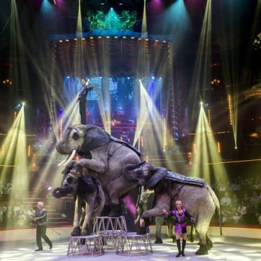 Surprise au Cirque d'Hiver, les photos