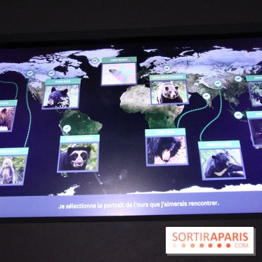 Espèces d'Ours, l'expo au Muséum National d'Histoire Naturelle