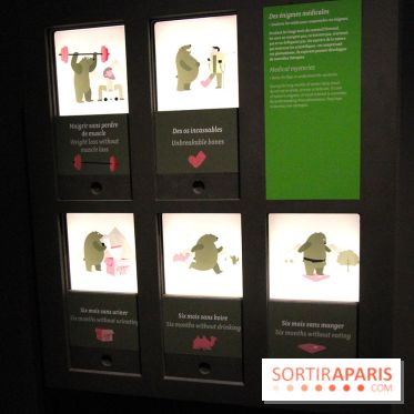Espèces d'Ours, l'expo au Muséum National d'Histoire Naturelle