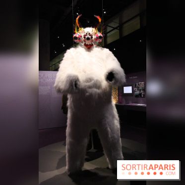 Espèces d'Ours, l'expo au Muséum National d'Histoire Naturelle